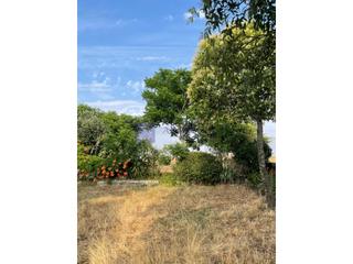 Masia  N/a. Parcela con casa en cceres