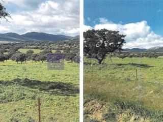 Casa  N/a. Se vende finca ganadera y agricola