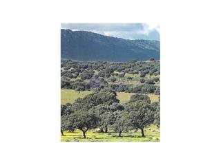 Casa  N/a. Se vende finca ganadera y agricola