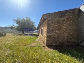 Haus  Poligono 10 paraje 102 encinilla. Se vende finca cinegetica y ganadera