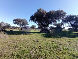 Casa  N/a. Finca ganadera de unas 170 hectáreas en la zona de trujillo