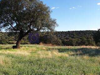 Casa a Don Benito. Finca mixta de unas 600 hectareas en la zona don benito