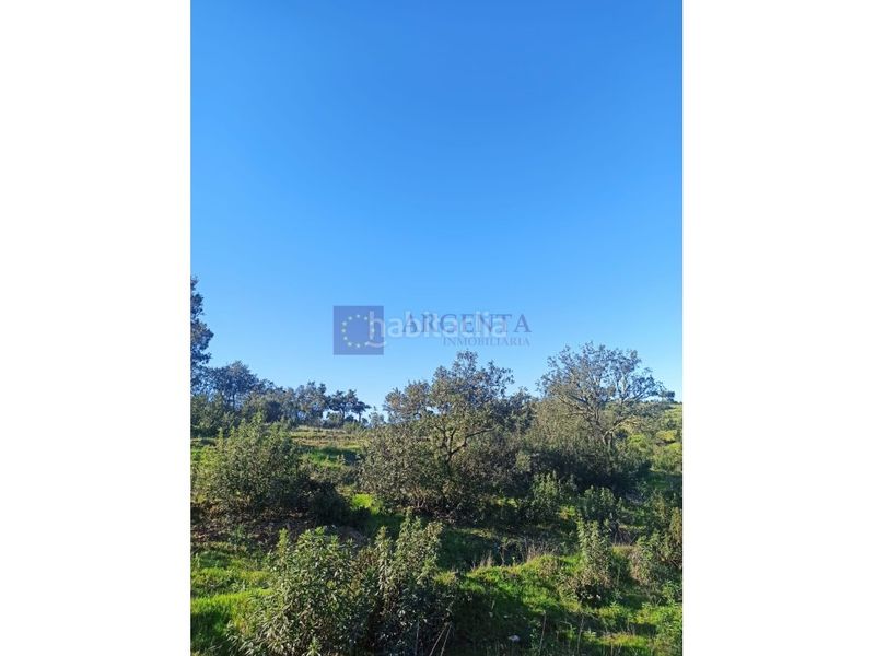 Foto cdbbf719-e194-4143-b535-13b09f53f6b0. Casa a Don Benito