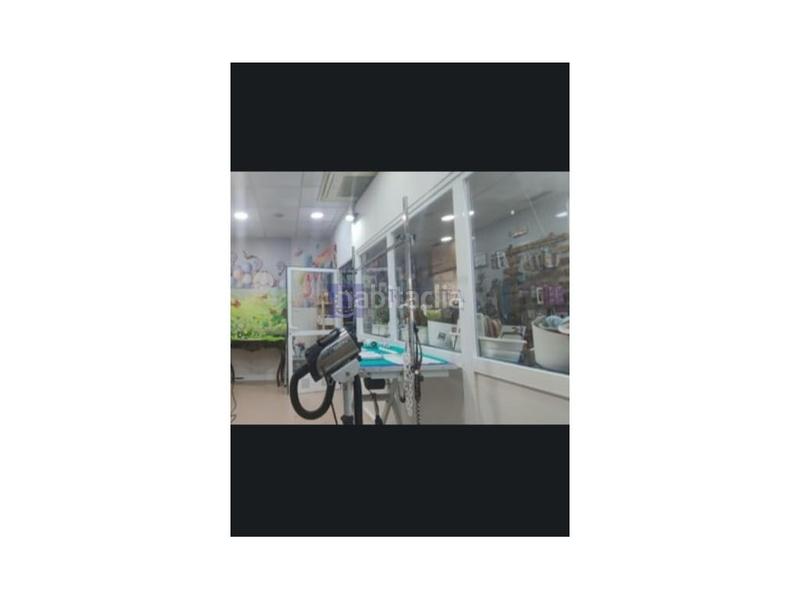 Foto d88311be-ca46-433c-99d2-aad8350b33fb. Alquiler local comercial se alquilatraspasa peluqueria canina en Cáceres