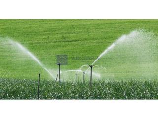 Maison à Coria. Se vende finca regadío zona coria