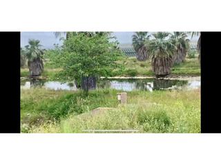 Casa en Aguas Vivas - La Zambomba. Se vende finca ganaderaindustrial