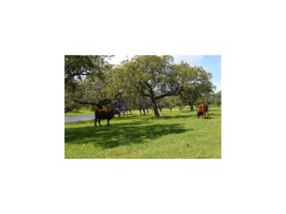 Haus in Trujillo. Se vende finca ganadera y cinegética zona trujillo