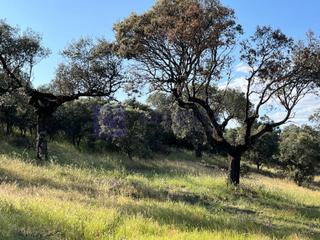 Casa a Herguijuela. Se vende finca ganadera