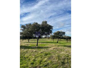 Maison à Aliseda. Se vende finca ganadera