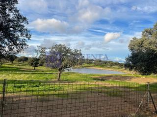 Casa in Aliseda. Se vende finca ganadera