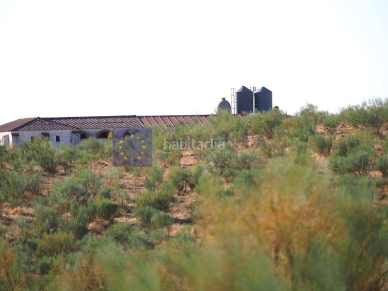 Foto 10aaff2f-6370-4748-893c-fe7e9642384c. Casa finca 640ha en Montesol - Mejostilla Cáceres