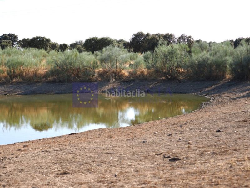 Foto 361cbb29-fdb6-4c8a-995b-a682b524bbf7. Casa finca 640ha en Montesol - Mejostilla Cáceres