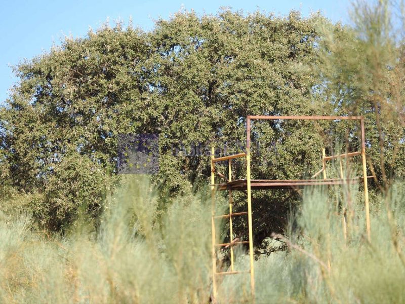 Foto 83e8fa3e-4d57-45bb-9ca8-e260d932f669. Casa finca 640ha en Montesol - Mejostilla Cáceres