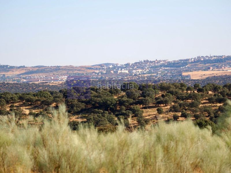 Foto f8dcb587-97f2-4ad9-9621-82d933e20672. Casa finca 640ha en Montesol - Mejostilla Cáceres
