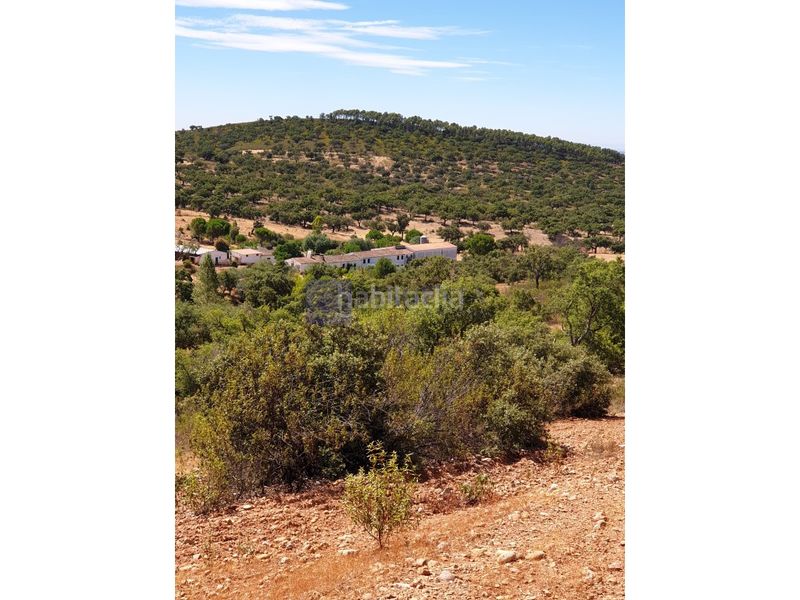 Foto 4a6a6672-d391-49d9-acff-519f8940c5e1. Masia a Madroñera