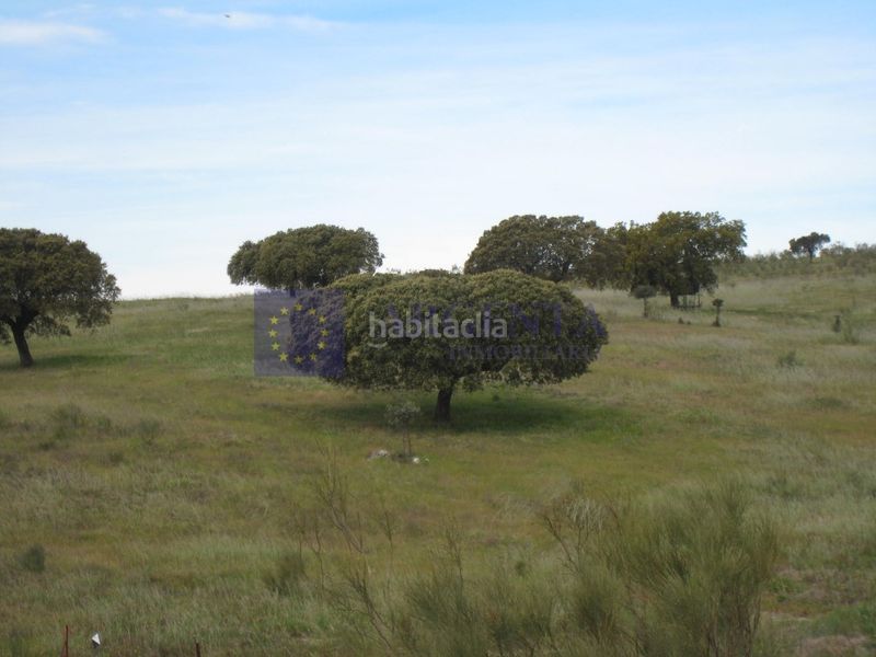 Foto 12634b4b-5a15-4957-afda-14fc40b8dbea. Masia a Trujillo