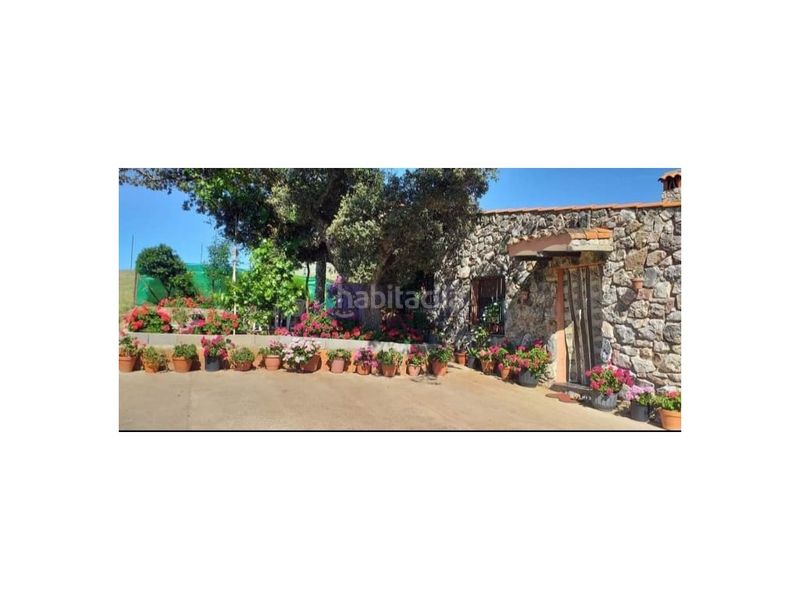 Foto d1e0ece3-6649-4e4a-b4e2-ec2ac123391e. Casa a Jaraicejo