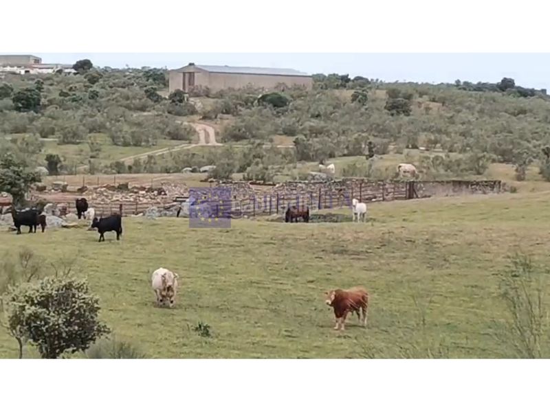 Foto 2af00ee9-8c78-4425-8478-0800911c7023. Casa a Trujillo