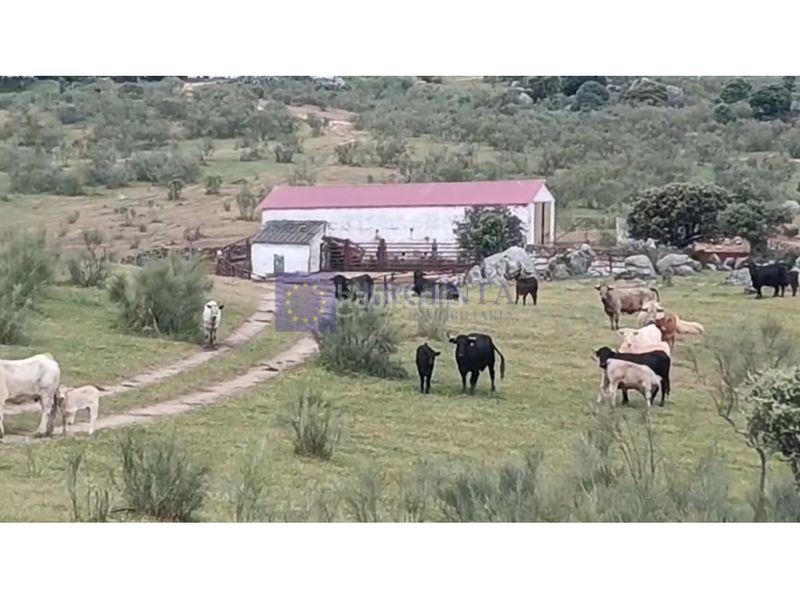 Foto bafc925c-8566-4318-b9db-ff0f5fba8f6f. Casa a Trujillo