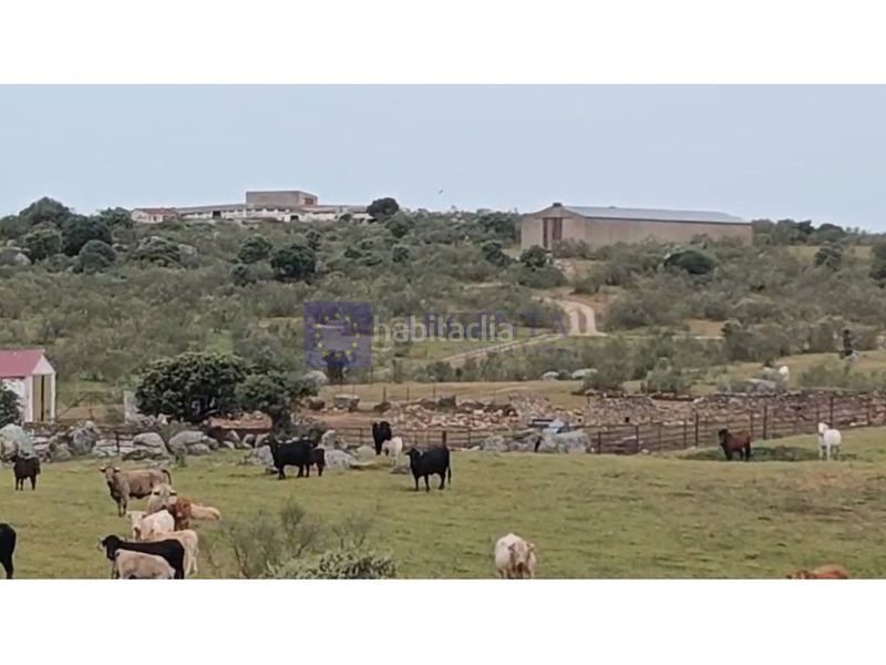 Foto d4a7288a-ac17-4ca0-8afe-302d223b78fb. Casa a Trujillo