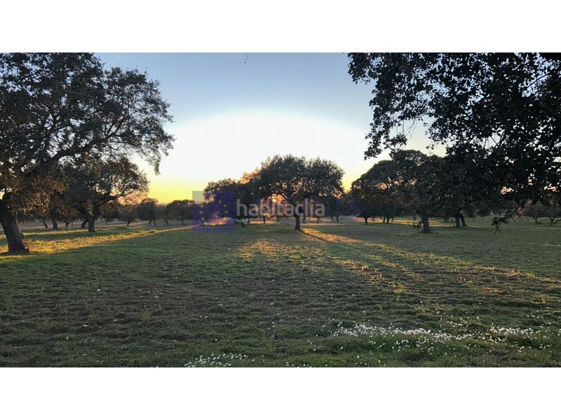 Foto 1bbb0dc4-0071-496e-90c1-ef8cf6fa06ba. Casa a Oeste Mérida