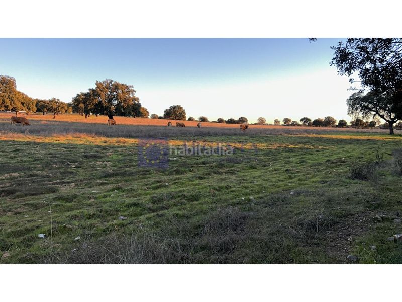 Foto 2f5cc81b-b5e3-47f4-bc27-ea25c56f1e6e. Casa a Oeste Mérida