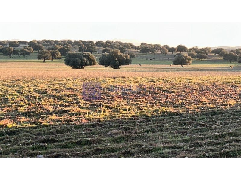 Foto 74ca6a33-ba59-41b0-93a6-885ef2efe135. Casa a Oeste Mérida