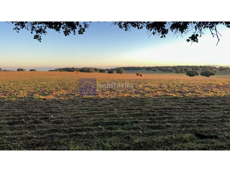 Foto a2215765-8b04-43b7-a3c6-9de6f3c41c3f. Casa a Oeste Mérida