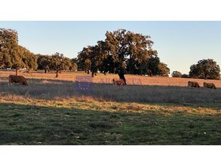 Maison à Oeste. Finca zona de mérida