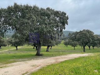 House in Jaraicejo. Finca por la zona de jaraicejo
