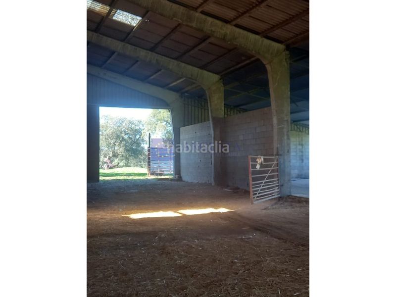 Foto 505c08ca-faef-4b6b-8805-9bf53a82166e. Casa a Aliseda