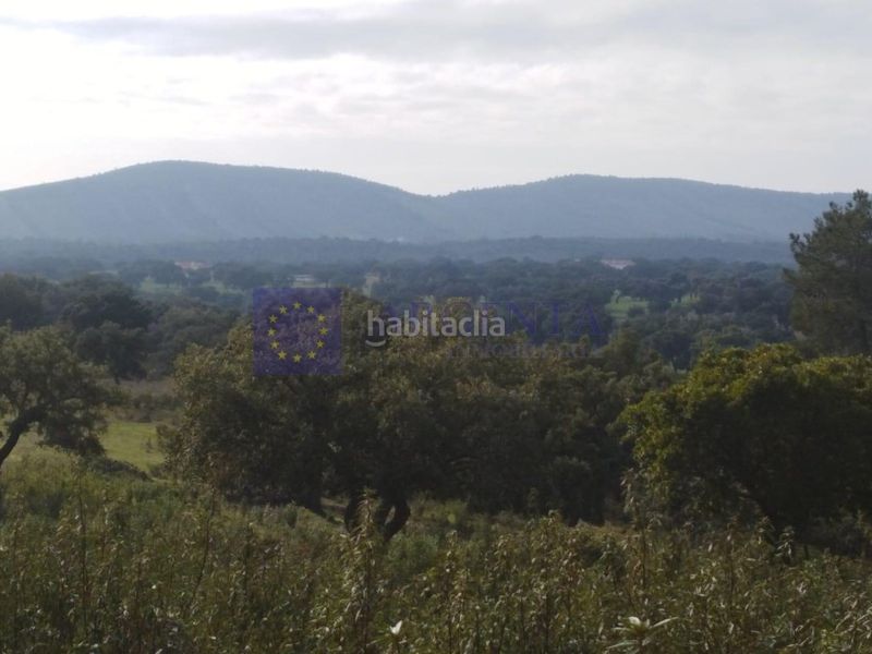 Foto cd5d9466-788e-4638-920d-2552b69abfdf. Casa a Aliseda