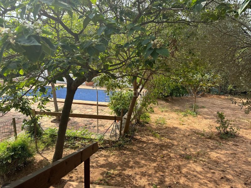 Foto a32d101d-d056-4764-a2e7-57dd81f4f31e. Chalet estás buscando vivir en un lugar con privacidad y tranquilidad?? en Castellón de la Plana