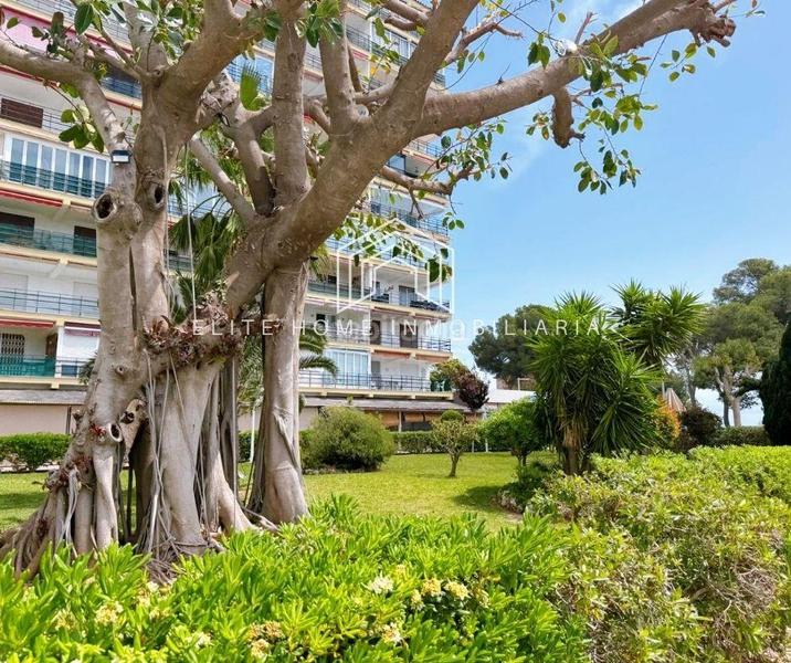 Foto b7092d44-3e0c-42dc-8f02-61fbb6b202ee. Appartement avec chauffage parking piscine dans Torreón-La Almadraba Benicasim / Benicàssim