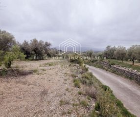 Terreno residenziale in Polígono sant mateu 20. Finca rústica en producción de olivos de secano  con posibilidad