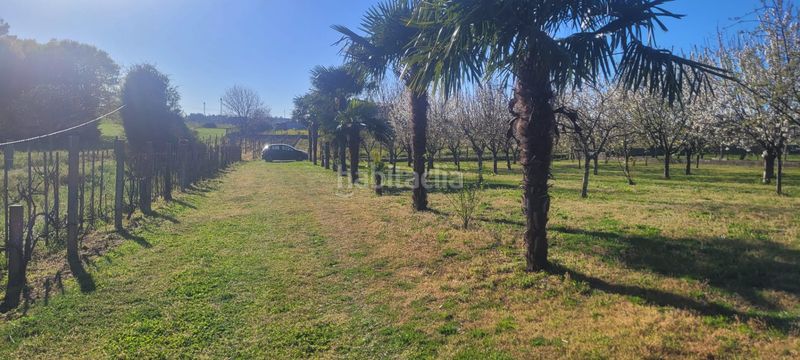 Foto 2ffdeafd-4a3a-4140-a05c-7703fe89b8fb. Masia a Vedra