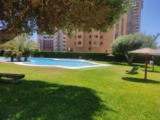 Àtic a Juzgados - Plaza de Toros. Piso 4 dormitorios en benidorm