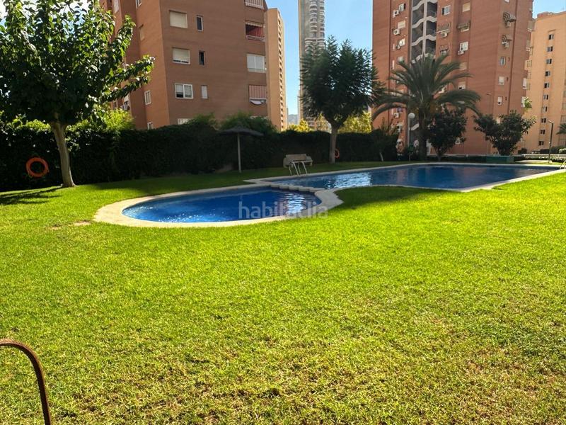 Foto 6dae5036-e481-476a-a9fd-0adc2ae50137. Loft con parcheggio piscina in Juzgados - Plaza de Toros Benidorm