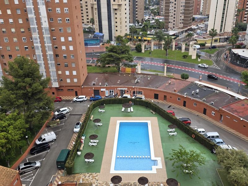 Foto 38fca7bb-38fc-4a16-9aaf-1877e9e1d918. Pis amb aparcament piscina a Juzgados - Plaza de Toros Benidorm