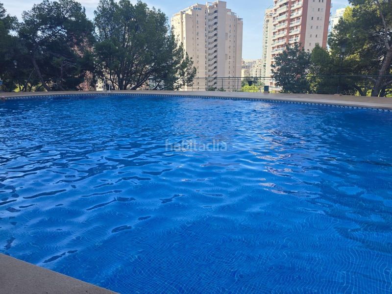 Foto 33518c9d-5c21-4cb2-b1c4-46252bcf880a. Pis amb aparcament piscina a Playa Poniente Benidorm
