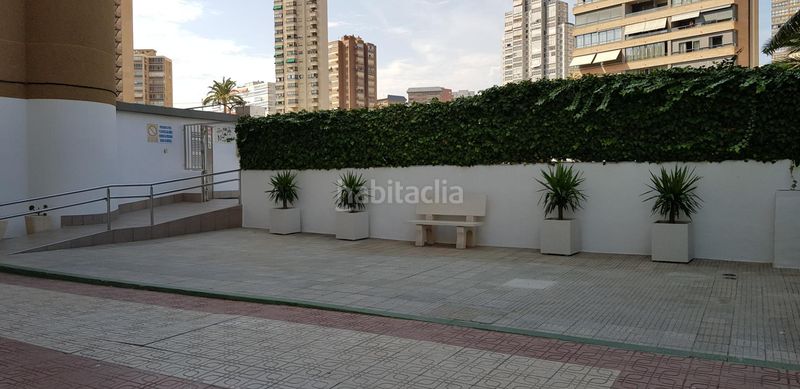 Foto 49dfec5c-45ba-4df8-bf46-6fc531a3ba3e. Estudi amb aparcament piscina a Playa Levante Benidorm