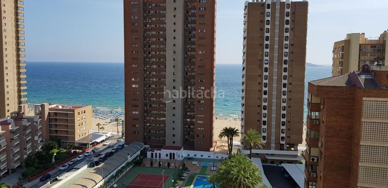 Foto a256624e-0662-4c75-8691-40d7db25d485. Estudi amb aparcament piscina a Playa Levante Benidorm