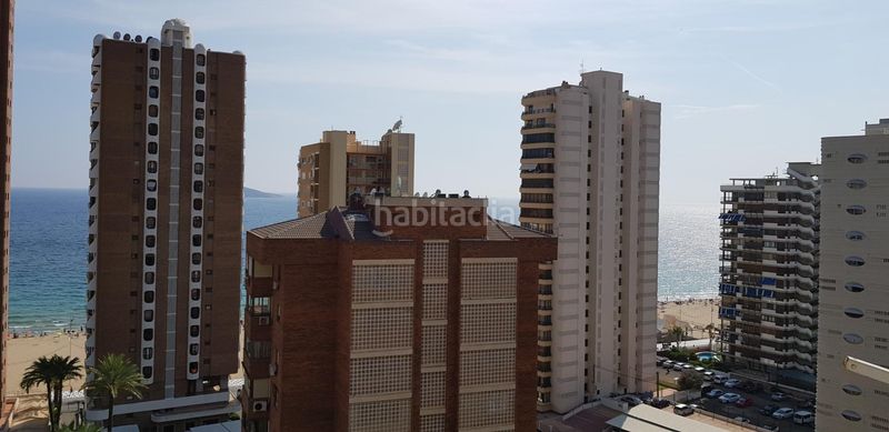 Foto d147750c-84ad-4391-9ef6-f06d9d523775. Estudi amb aparcament piscina a Playa Levante Benidorm