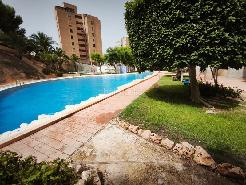Foto aa80320f-95e9-4f6b-8f23-0667e43bc7c7. Àtic amb piscina a Playa Poniente Benidorm