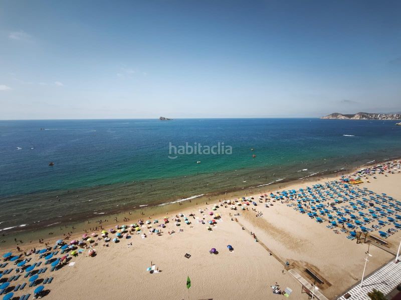 Foto 86c8fd58-c5ce-4017-8687-a56d19277cee. Estudi amb aparcament piscina a Playa Levante Benidorm