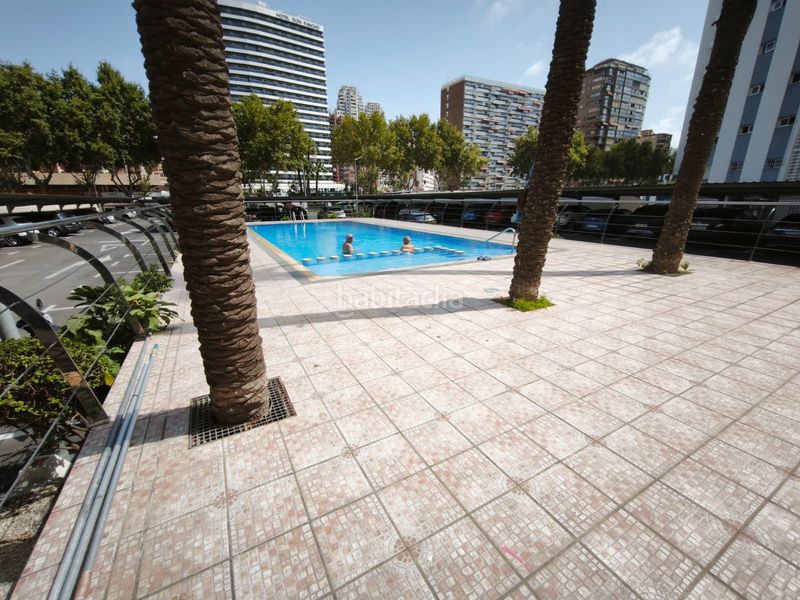 Foto a53176ae-e3c1-4da7-a127-59f8ca48453a. Estudi amb aparcament piscina a Playa Levante Benidorm