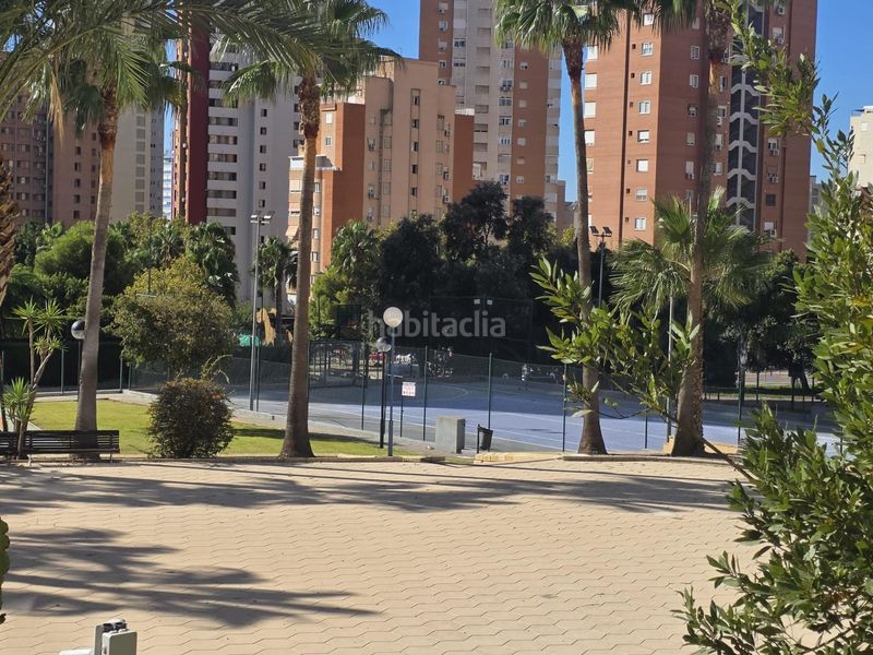 Foto 026da7f7-5c01-4e98-871e-a0d897ef6359. Pis amb calefacció aparcament piscina a Juzgados - Plaza de Toros Benidorm