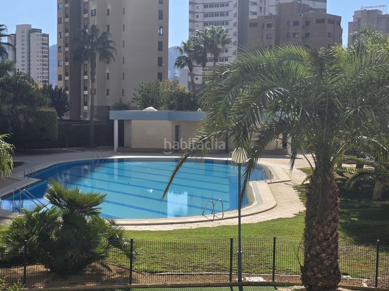 Foto 7593af6f-1b3f-4ca5-a98e-65cb3ca7dd65. Pis amb calefacció aparcament piscina a Juzgados - Plaza de Toros Benidorm