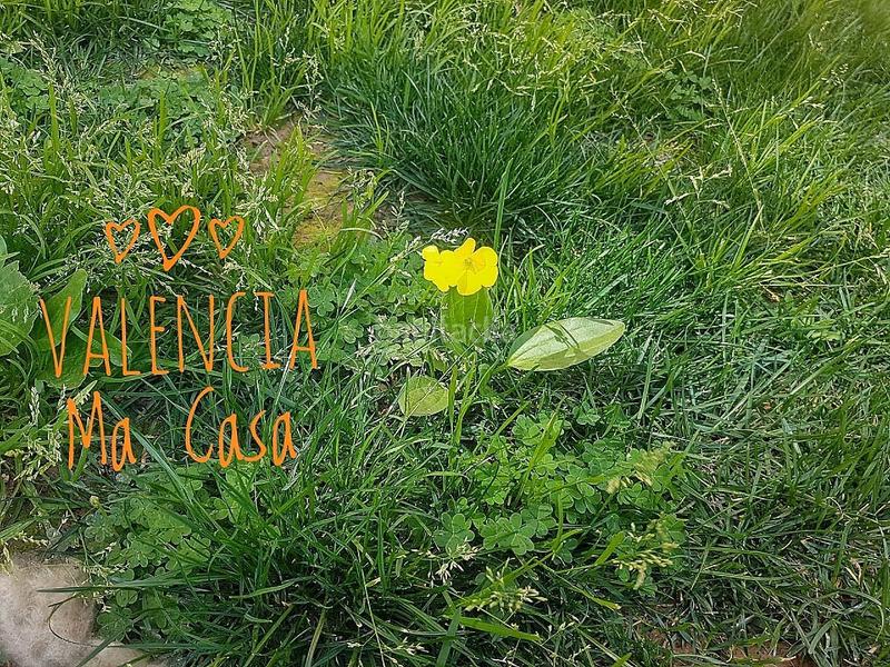 Foto beaa7df3-d9b9-46bd-88a5-bcf4d7d52969. Alquiler piso en Penya-Roja - Avda. Francia Valencia