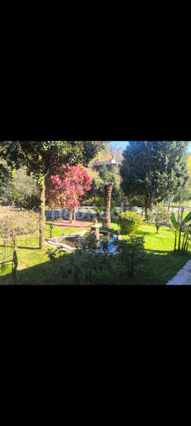 Foto aaa5ccb0-10c0-4f16-9238-91067581c701. Chalet dans vial camino 11 dans área de Ames Ames
